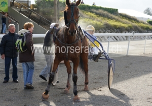 Kategorie: Avenches, 8.11.14 (S.Schär)